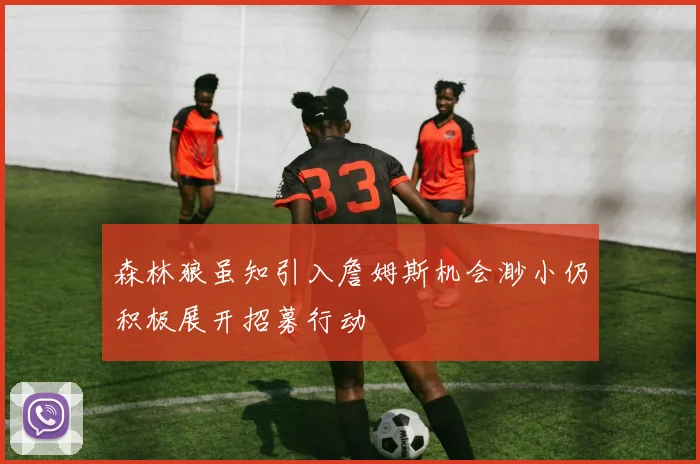 森林狼虽知引入詹姆斯机会渺小仍积极展开招募行动